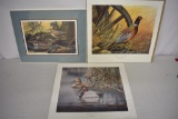 3 Wildlife Signed & Numbered Prints