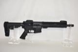 Gun. Palmetto PA-15 300 Black Out cal Pistol