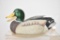 Custom Arts Concept Mallard Duck Decoy