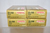Ammo. 22-250. 80 Rds