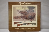 Remington Counter Display