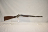 Gun. J Stevens Custom Visible Loader 22 cal Rifle