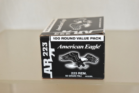 Ammo. AR 223. 100 Rds