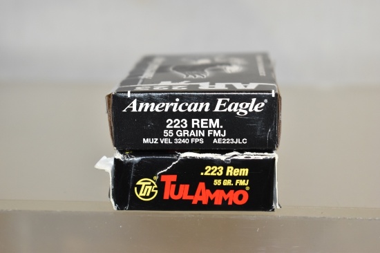 Ammo. 223 Rem. 39 Rds