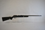 Gun. Remington Model 514 22 cal Rifle