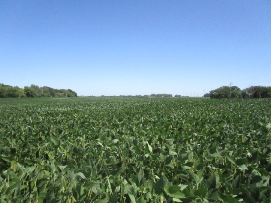 90+/- Acre Land Auction * Worth County, IA