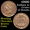 1900 Indian Cent 1c Grades xf details