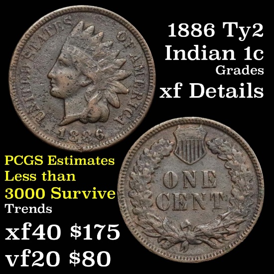 1886 ty2 Indian Cent 1c Grades xf details