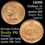 1899 Indian Cent 1c Grades Choice Unc RD (fc)