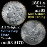 1891-s Morgan Dollar $1 Grades Select Unc