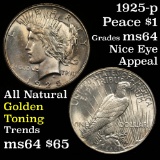 1925-p Peace Dollar $1 Grades Choice Unc