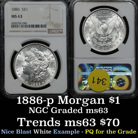 Blast white NGC 1886-p Morgan Dollar $1 Good luster Graded ms63 By NGC PQ for the grade