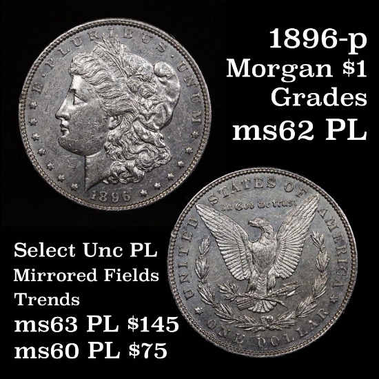 reflective fields 1896-p Morgan Dollar $1 Blast white Grades Select Unc PL