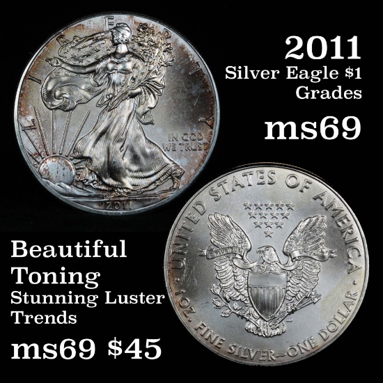 nice toning 2011 Silver Eagle Dollar $1 Grades ms69