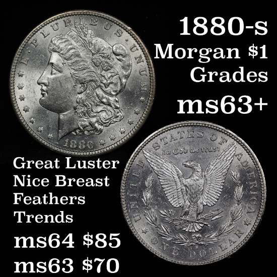 semi pl reverse 1880-s Morgan Dollar $1 strong strike Grades Select+ Unc good luster