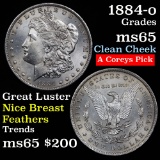 ultra clean 1884-o Morgan Dollar $1 superby luster, super eye appeal Grades GEM Unc (fc)