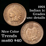 good eye appeal 1901 Indian Cent 1c Grades Unc Details