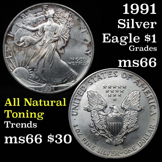 1991 Silver Eagle Dollar $1 Grades GEM+ Unc