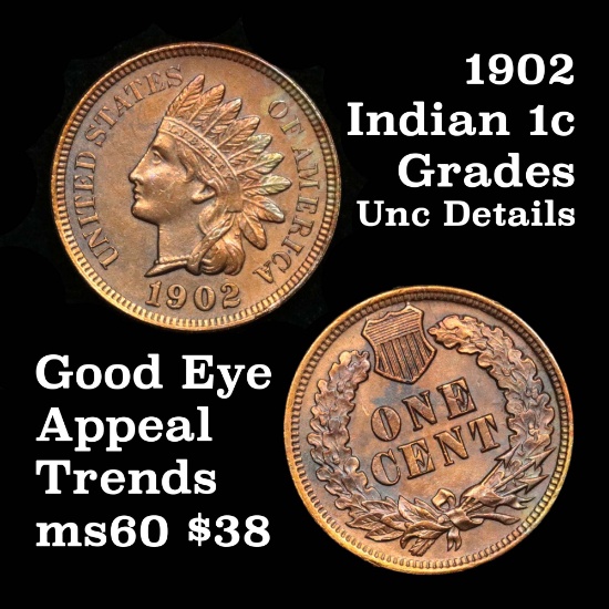 1902 Indian Cent 1c Grades Unc Details