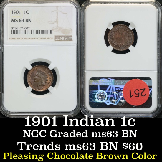 NGC 1901 Indian Cent 1c Graded ms63 bn by NGC
