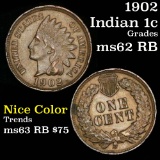 1902 Indian Cent 1c Grades Select Unc RB