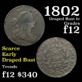 1802 Draped Bust Large Cent 1c Grades f, fine (fc)