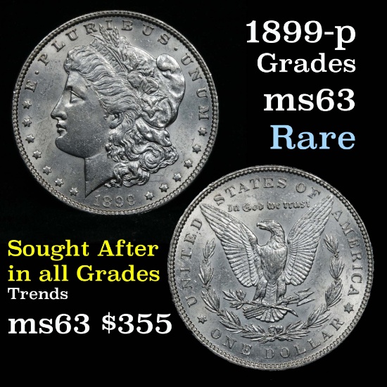 1899-p Morgan Dollar $1 Grades Select Unc (fc)