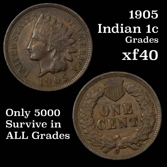 1905 Indian Cent 1c Grades xf
