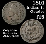 1891 Indian Cent 1c Grades f+