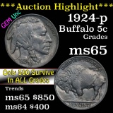 ***Auction Highlight*** 1924-p Buffalo Nickel 5c Grades GEM Unc (fc)