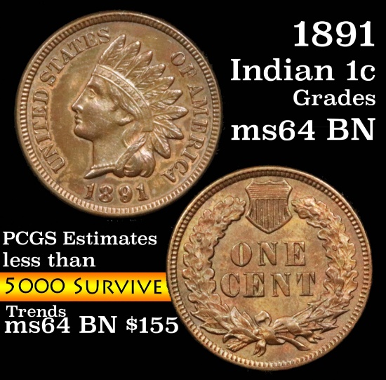 1891 Indian Cent 1c Grades Choice Unc BN