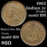 1902 Indian Cent 1c Grades Select Unc BN