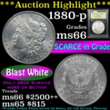 ***Auction Highlight*** 1880-p Morgan Dollar $1 Graded GEM+ Unc by USCG (fc)