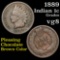 1889 Indian Cent 1c Grades vg, very good