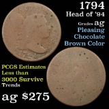 1794 head of '94 Draped Bust Large Cent 1c Grades ag, Almost Good (fc)