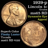 1929-p Lincoln Cent 1c Grades GEM Unc RD