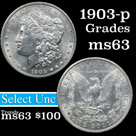 1903-p Morgan Dollar $1 Grades Select Unc