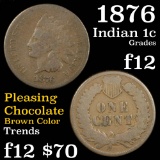 1876 Indian Cent 1c Grades f, fine