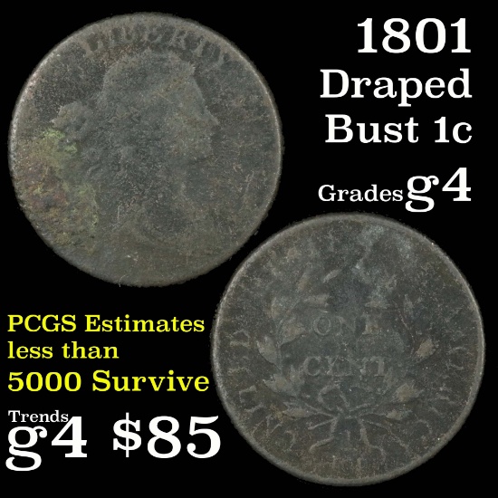 1801 Draped Bust Large Cent 1c Grades g, good