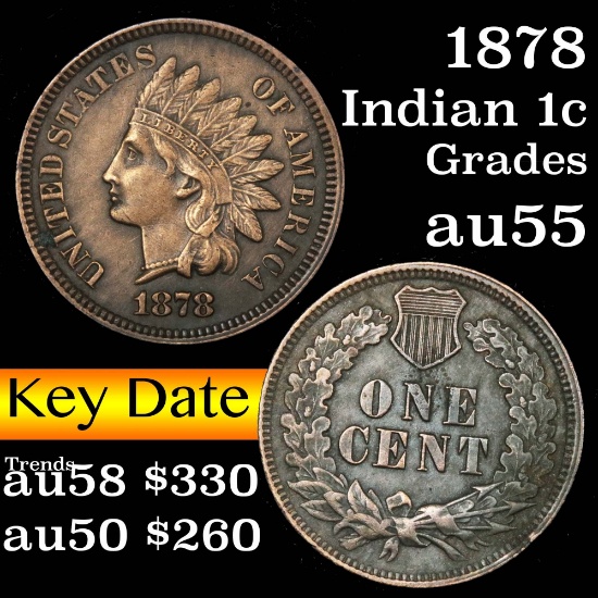 1878 Indian Cent 1c Grades Choice AU (fc)