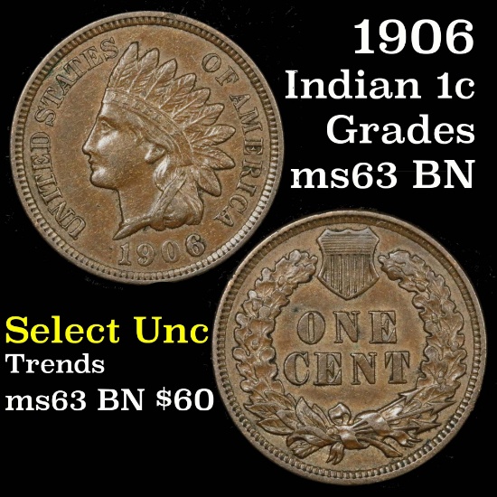 1906 Indian Cent 1c Grades Select Unc BN