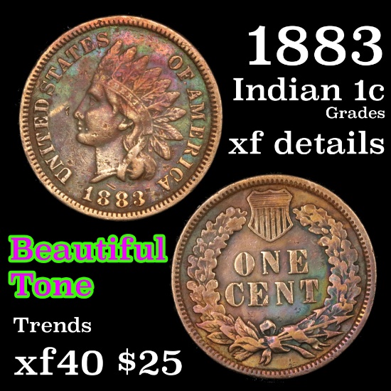1883 Indian Cent 1c Grades xf details