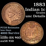 1883 Indian Cent 1c Grades Unc Details