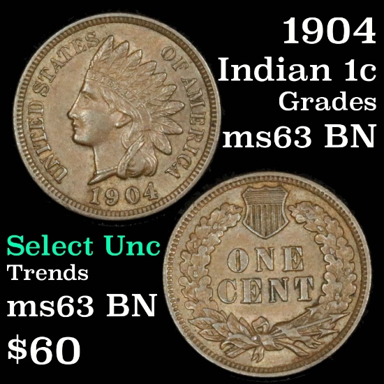 1904 Indian Cent 1c Grades Select Unc BN