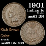 1901 Indian Cent 1c Grades Select Unc BN