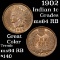 1902 Indian Cent 1c Grades Choice Unc RB