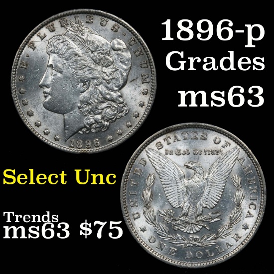 1896-p Morgan Dollar $1 Grades Select Unc