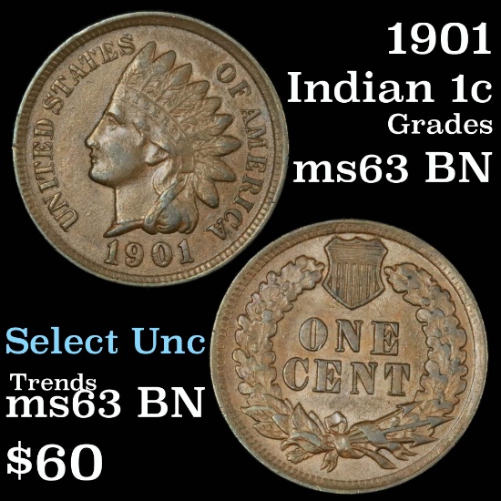 1901 Indian Cent 1c Grades Select Unc BN