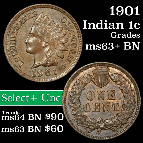 1901 Indian Cent 1c Grades Select+ Unc BN