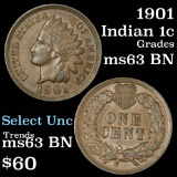 1901 Indian Cent 1c Grades Select Unc BN